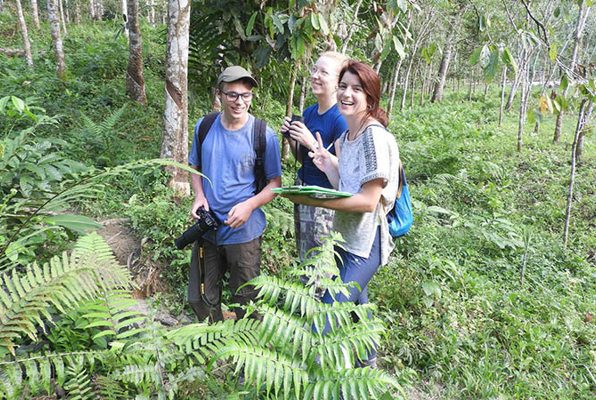 Sumatra vrijwilligerswerk orang oetan in de jungle 